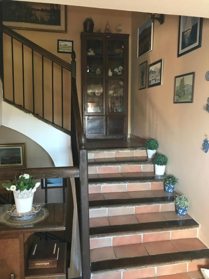 El Olivo De Sansol Guest House Exterior photo